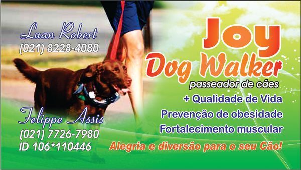 Joy Dog Walker