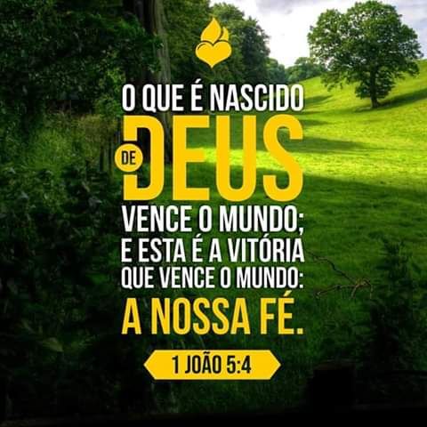 Que tal nascer de novo?